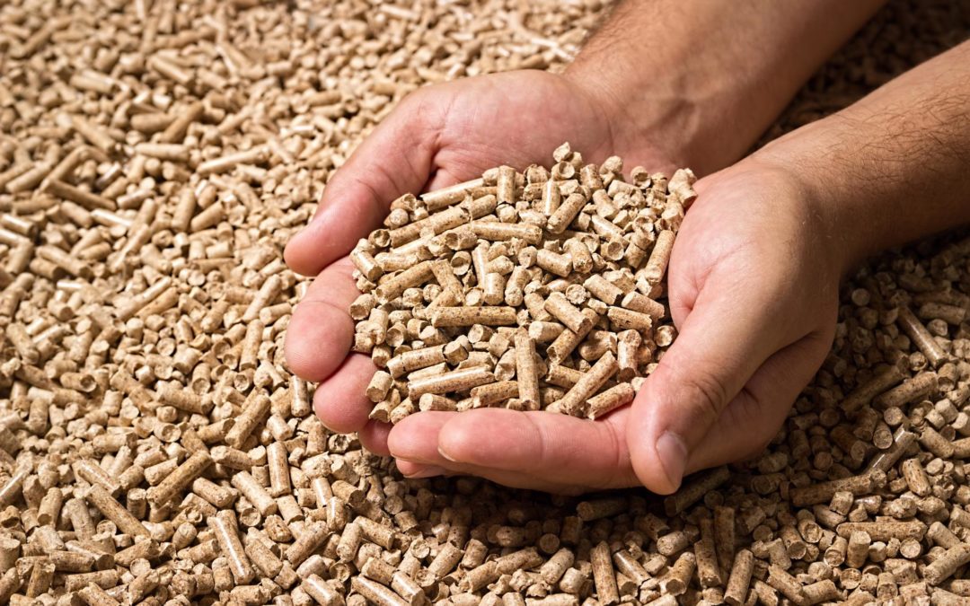 What makes Amplified Feed Solutions pellets superior to other pellets?