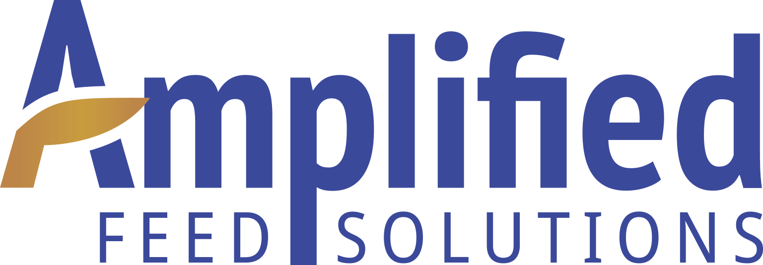 Amplified Feed Logo Blue